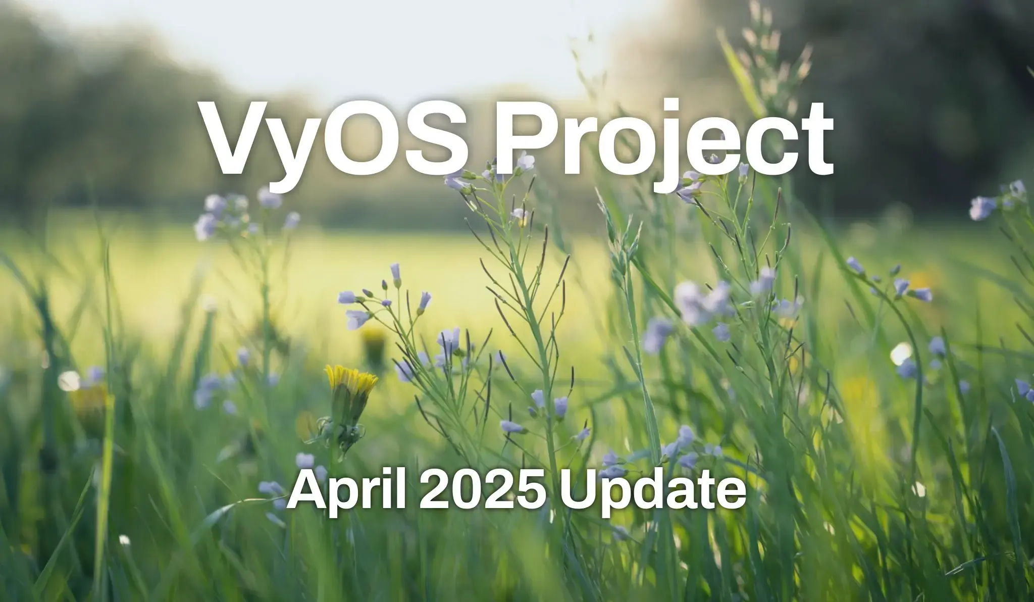 VyOS Project April 2025 Update