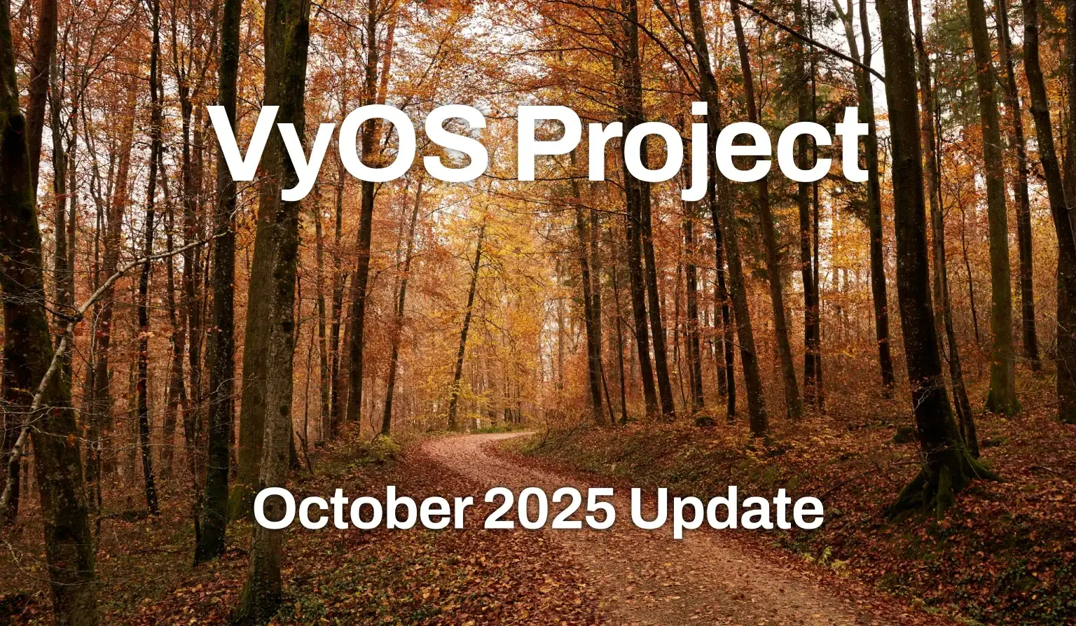 VyOS Project October 2025 Update